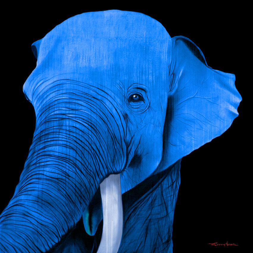 BATUNA DODGER BLUE-ELEPHANT- 動物画
